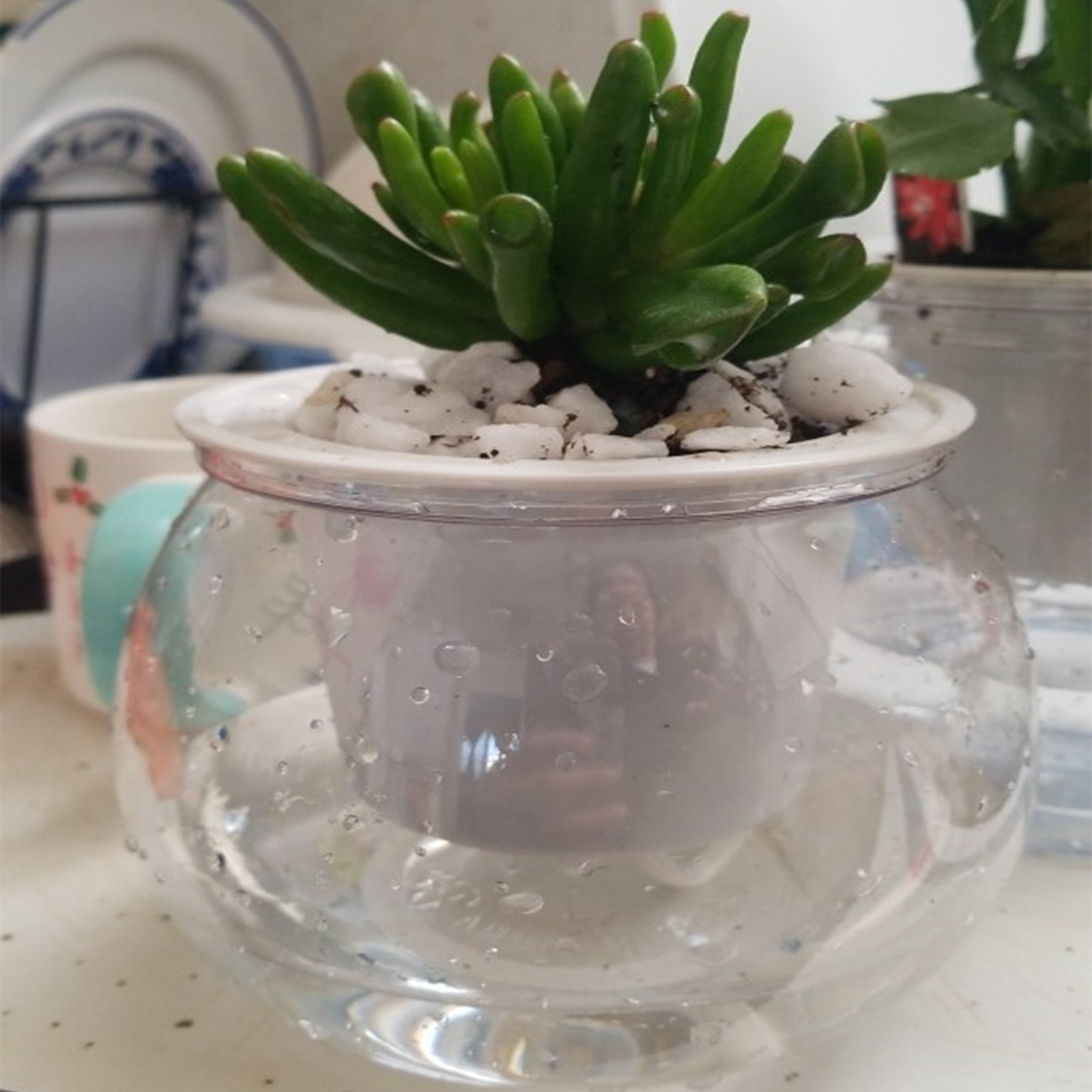 Japanese Garden Bonsai - 자체 급수 화분 미니 화분, 실내