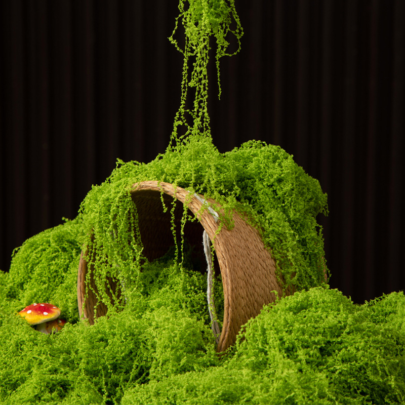 Landscape Bonsai Garden - 200g 영원한 생명 이끼 DIY 공예
