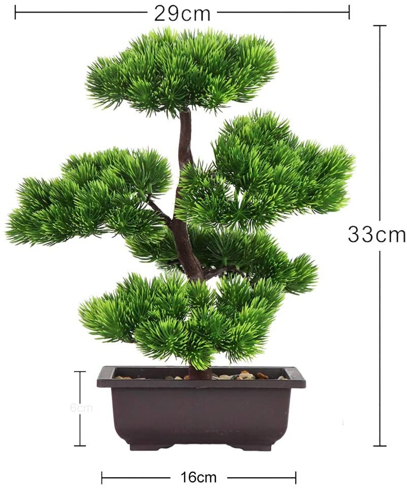 일본산 소나무 분재, 가정 장식용 화분 식물, 책상 장 - Japanese Garden Bonsai 리뷰 및 가격
