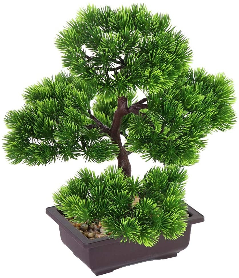 일본산 소나무 분재, 가정 장식용 화분 식물, 책상 장 - Japanese Garden Bonsai 리뷰 및 가격