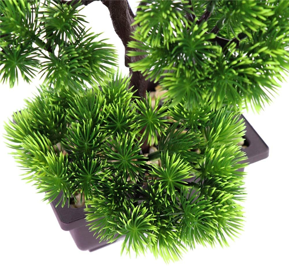 일본산 소나무 분재, 가정 장식용 화분 식물, 책상 장 - Japanese Garden Bonsai 리뷰 및 가격