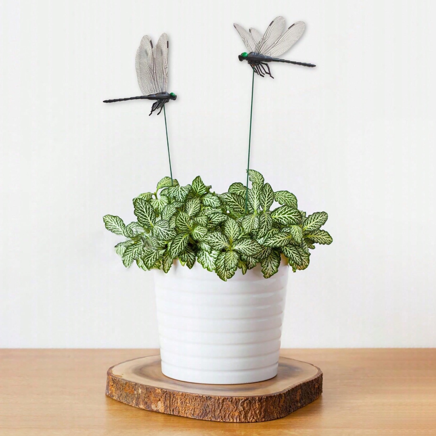 10개입 잠자리 장식품 S, 실물 같은 3D 대형 잠자 - Bonsai Garden Decor 리뷰 및 가격