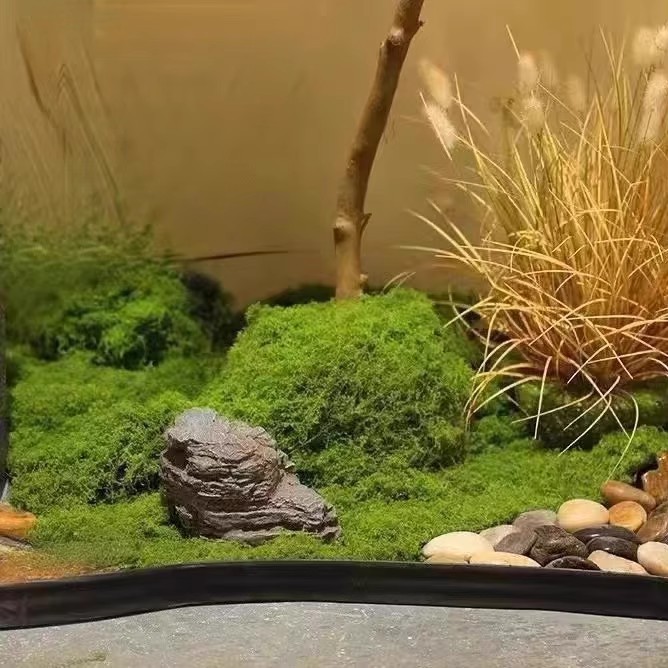 200g 영원한 생명 이끼 DIY 공예 잔디 인공 녹색 - Landscape Bonsai Garden 리뷰 및 가격