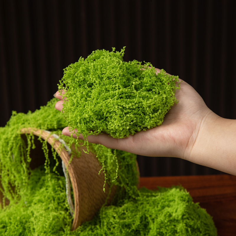 200g 영원한 생명 이끼 DIY 공예 잔디 인공 녹색 - Landscape Bonsai Garden 리뷰 및 가격