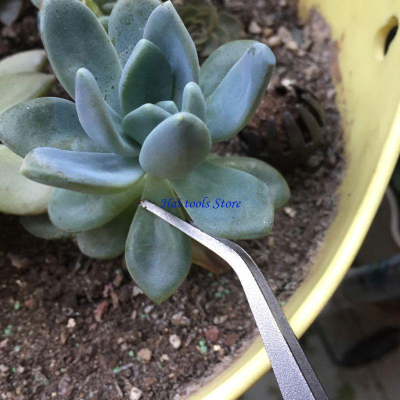 x37e 2 in 1 1 원예 갈 레이크 주걱 3 개  - Bonsai Garden Shop 리뷰 및 가격