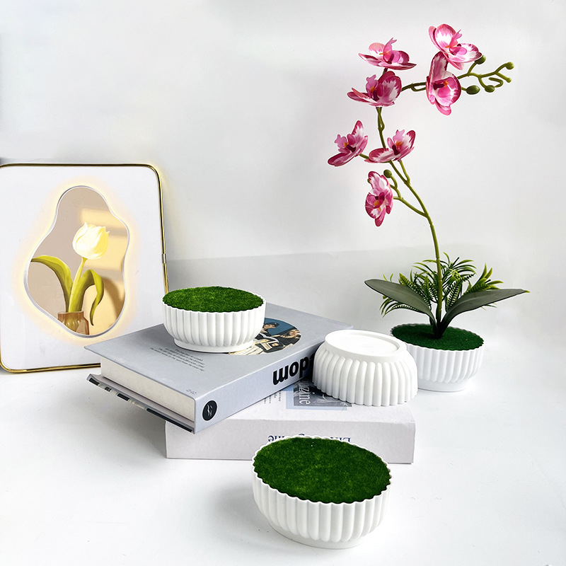 시뮬레이션된 화분 부식방지 사출 성형 공정, 호텔 쇼핑 - Bonsai Garden Shop 리뷰 및 가격