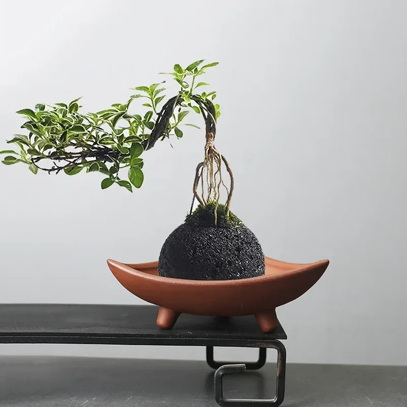 맞춤형 세라믹 화분, 대나무 실내 마이크로 조경 식물, - Japanese Garden Bonsai 리뷰 및 가격