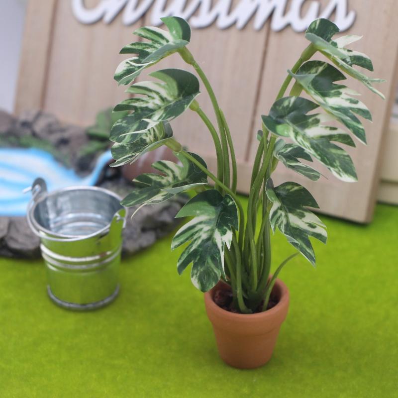 New.1PC 1/12 인형 집 시뮬레이션 몬스테라 녹 - Landscape Bonsai Garden 리뷰 및 가격